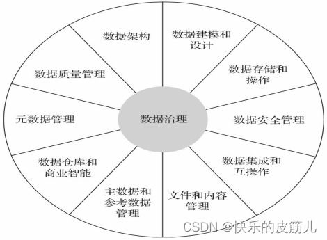《第二章 数据治理框架和标准》数据处理读书笔记
